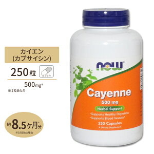 yő10%OFFN[|zJCGihqj 500mg 250 NOW Foods(iEt[Y) Cayenne 500 mg - 250 Capsules