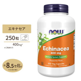 【最大10%OFFクーポン】ナウフーズ エキナセア 400mg 250粒 NOW Foods Echinacea 400mg 250 Vef Capsules サプリメント サプリ 健康 バリア 季節の変わり目