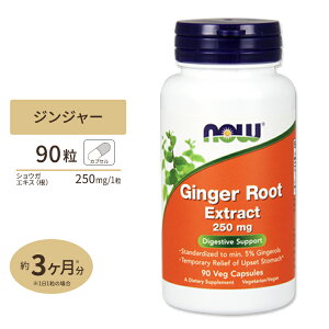�W���W���[���[�g�i���j�G�L�X 250mg 90�� NOW Foods(�i�E�t�[�Y) NOW Ginger Root Extract 250mg 90Vcaps