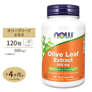 �I���[�u���[�t�G�L�X�i�I���E���y�C��6���j 500mg 120�� NOW Foods(�i�E�t�[�Y) Olive Leaf Extract 500 mg Vegetarian - 120 Vcaps