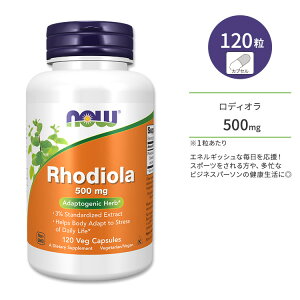 �i�E�t�[�Y ���f�B�I�� ���[�A 500mg �x�W�J�v�Z�� 120�� NOW Foods Rhodiola Veg Capsules ���[�A �G�L�X �n�[�u �C���x���P�C