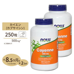 yő10%OFFN[|zJCGihqj 500mg 250 NOW Foods(iEt[Y) [2Zbg] Cayenne 500 mg - 250 Capsules