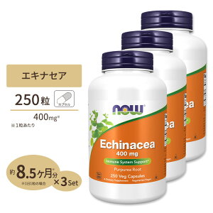 [3�Z�b�g] �i�E�t�[�Y �G�L�i�Z�A 400mg 250�� NOW Foods Echinacea 400mg 250 Vef Capsules �T�v�������g �T�v�� ���N �o���A �G�߂̕ς���