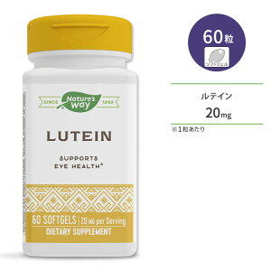 yő10%OFFN[|zlC`[YEFC eC 20mg 60 \tgWF Nature's Way Lutein Tvg ACPA rWT|[g u[Cg NA X}z PC