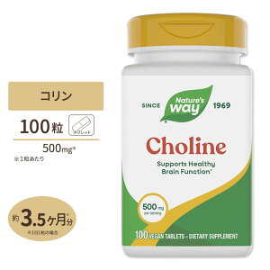 �l�C�`���[�Y�E�F�C �R���� 500mg 100�� Nature's Way Choline 500mg �T�v�� �r�^�~��B�Q �_�C�G�b�g Choline 500mg