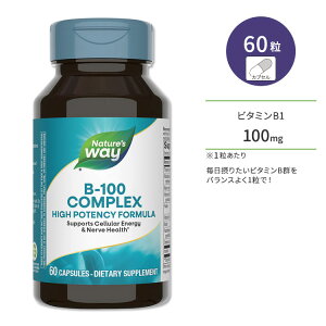 �l�C�`���[�Y�E�F�C �r�^�~��B-100 �R���v���b�N�X 60�� �J�v�Z�� Nature's Way Vitamin B-100 Complex �T�v�������g ���N�ێ� �h�{�⏕ �����K��