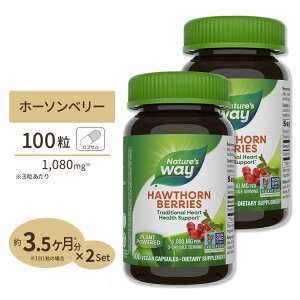 [2�Z�b�g]�l�C�`���[�Y�E�F�C �z�[�\�[���x���[ 1080mg 100�� Nature's way Hawthorn Berries