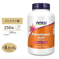 ナウフーズ パントテン酸 500mg 250粒 ベジカプセル NOW Foods Pantothenic Acid Veg Capsules ビタミンB…