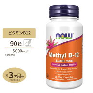 ナウフーズ メチルB-12 5000mcg 90粒 ベジカプセル NOW Foods METHYL B-12 5,000mcg 90 VCAPS サプリメン…