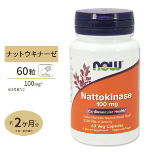 �[���L�i�[�[ �i�b�g�E�L�i�[�[�i�[���y�f�j100mg 60�� NOW Foods(�i�E�t�[�Y) Nattokinase 100mg 60vcaps
