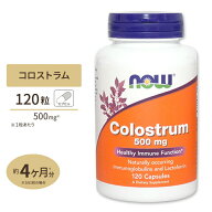 NOW Foods コロストラム 500mg 120粒 カプセル ナウフーズ Colostrum 500mg 120capsules Colostrum 500mg…