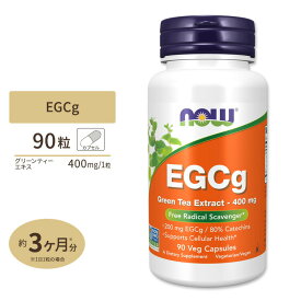 EGCg（エピガロカテキンガレート） グリーンティーエキス 90粒 NOW Foods(ナウフーズ) EGCg Green Tea Extract - 90 Vcaps