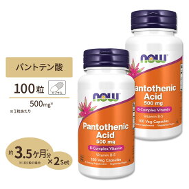 [2個セット] 【お試しサイズ】パントテン酸カルシウム　100粒 NOW Foods