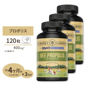 [3�Z�b�g] �v���~�A���� �r�[�v���|���X (2�{�Z�k) 650mg 120�� �J�v�Z�� Premier One ���I �t���{�m�C�h �r�^�~��P ���N�H�i �T�v�������g Bee Propolis, Capsule 650mg 120ct