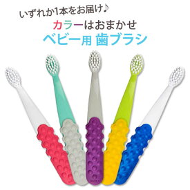 【隠れた名品】RADIUS トッツプラス 子ども用歯ブラシ ラディアス Totz Plus Toothbrush 対象：3歳以上 【カラーはおまかせ】