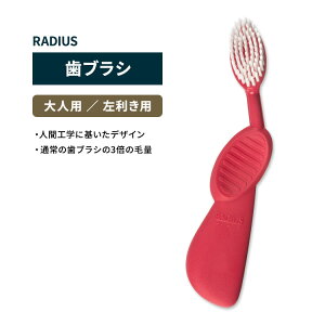 ���f�B�E�X �t���b�N�X�u���V ���u���V �E�H�[�^�[������ RADIUS Flex Brush Left Watermelon ������ ���݂��� �n�u���V �A���R�� ���ɗD���� �Đ��S�� �t���b�N�X�l�b�N