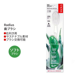 ���f�B�E�X �r�b�O �u���V �E��p �\�[�_�|�b�v�G�R�O���C���h Radius Big Brush Right Hand Soda Pop Eco-Grind ���u���V �\�t�g�� �E�����p �O���[��