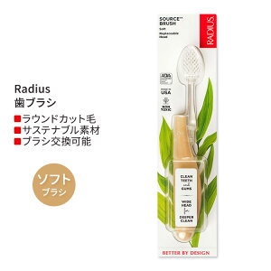 ���f�B�E�X �\�[�X �t���X �u���V �\�t�g �X�^�[�` Radius Source Floss Brush Soft Starch ���u���V �_�炩���� �E���� ������