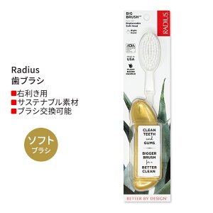 ���f�B�E�X �r�b�O �u���V �E��p �S�[���h�T�e�� Radius Big Brush Right Hand Gold Satin ���u���V �\�t�g�� �E�����p
