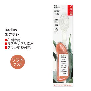 ���f�B�E�X �r�b�O �u���V �E��p �V�[�V�F���R�[���� Radius Big Brush Right Hand Seashell Coral ���u���V �\�t�g�� �E�����p