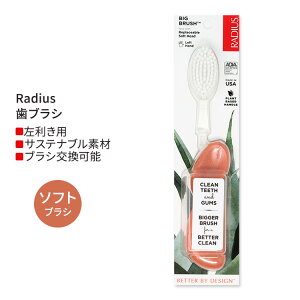 ���f�B�E�X �r�b�O �u���V ����p �V�[�V�F���R�[���� Radius Big Brush Left Hand Seashell Coral ���u���V �\�t�g�� �������p