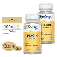 [2個セット] ソラレー ナイアシン サプリメント 500mg 100粒 Solaray Niacin ビタミンB3 ベジカプセル Ve…