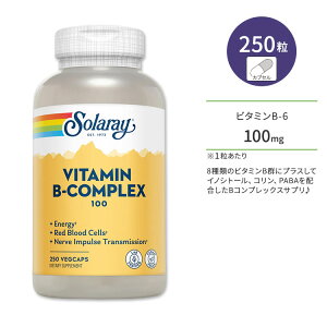 yő10%OFFN[|z\[ r^~BRvbNX 100mg xW^uJvZ 250 Solaray Vitamin B-Complex 100 VegetableCapsule r^~BQ