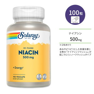 �\�����[ �m�[�t���b�V�� �i�C�A�V�� 500mg �x�W�^�u���J�v�Z�� 100�� Solaray Niacin, No Flush 500mg �r�^�~��B3