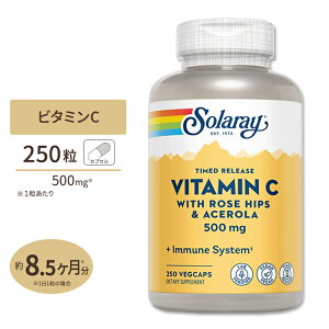 �\�����[ �^�C�������[�X �r�^�~��C 500mg �x�W�^�u���J�v�Z�� 250�� Solaray Timed Release Vitamin C VegCap�̒� �Ǘ� ���N �b�� �΍� �K��