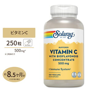 �\�����[ �o�b�t�@�[�h �r�^�~��C with �o�C�I�t���{�m�C�h 500mg �x�W�^�u���J�v�Z�� 250 �� Solaray Vitamin C With Bioflavonoid Complex Buffered VegCap�̒� �Ǘ� ���N �b�� �΍� �K��
