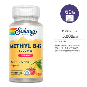 �\�����[ ���`�� �r�^�~�� B-12 5000mcg 60�� �`���A�u�� ���������Y�x���[�t���[�o�[ Solaray Methyl B-12 Lemon-Raspberry 60 Lozenges �T�v�������g �r�^�~��B B12 ������ ���Y�x���[ ��������