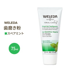 オーガニック 歯磨き粉の人気商品 通販 価格比較 価格 Com