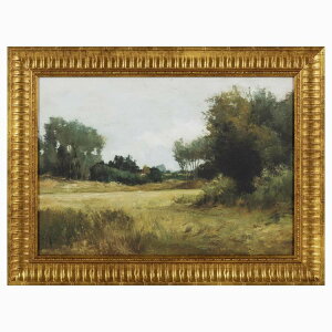�y�|�C���gUP��1��-11��2���z�}�C�e�L�T�X�n�E�X �t���[���A�[�g ���i�� ��41×30cm My Texas House Open Meadow Landscap Framed Art 16x12 �y�����񂹏��i�z