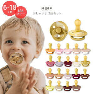 yő10%OFFN[|zruX Ԃ 2Zbg 6`18 S20F i`o[ VRS BIBS Baby Pacifiers 킢  Vv Ԃ  c c }} pp