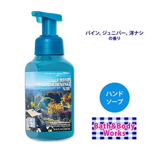 oX&{fB[NX NXv[jOGA nh\[v 259ml (8.75 fl oz) Bath&Body Works Body Hand Soap Ό 􂢐Ό t ێ
