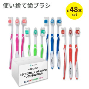 yXߋő勉MAX1040~OFFN[|zArX^[ ĝĎuV ʕ 傫߃wbh ʖ 48{Zbg Avistar Individually Packaged Large Head Medium Bristle Disposable Toothbrushes 3Έȏ  
