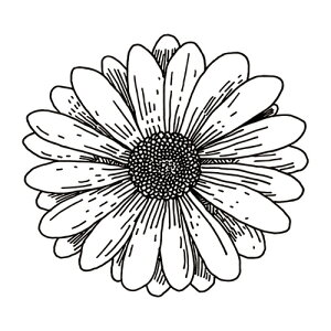 l킢X^v 13.}[Kbg 30×30mm t@CJ[X^p[ FineColorStamper CXg \ 킢  ֗  ͂ @׃S