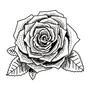 l킢X^v 14.o 30×30mm t@CJ[X^p[ FineColorStamper CXg \ 킢  ֗  ͂ @׃S KN ỏ ԉ t[Vbv