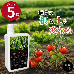 vgAO 1L yǍ t Y i` Ή AQ΍ ȒPUz _Ɨp ؔ엿 | ƒ؉ ʎ͔| k͔| 앨 P ʃAbv N[ 