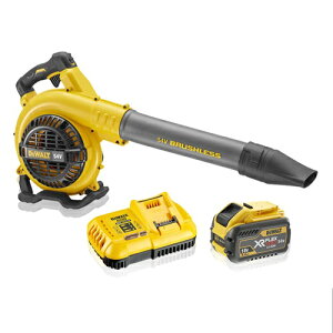 �f�E�H���g 54VFLEXVOLT�u�����[ DCM572X1-JP