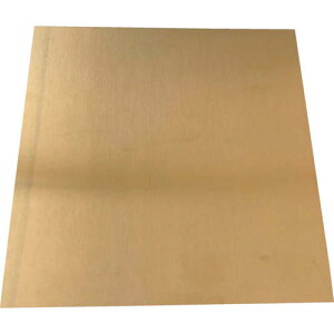 TRUSCO �V���v���[�g �^�J 1.0*50*50mm SISIN1.0-50-50