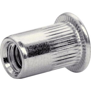 Rapid M8*1.25(20��) 5001482