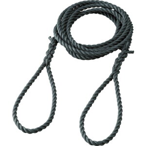 TRUSCO t|vs[v a12mmX5m TPP-125