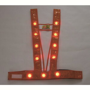 ~YPCLED^XL^SxXgułvIW^LED3020011