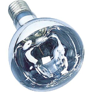 �n�^�����t���N�^�[�����v300W(RC�ARE�ARG�^�p)RS-300WH