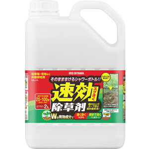 IRIS 110883  2L WSJ-2L