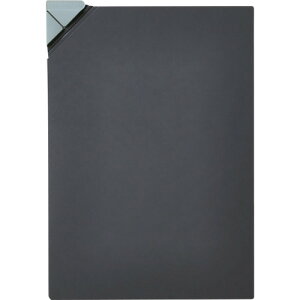 KING JIM iiNt@C A4  20 580-BK