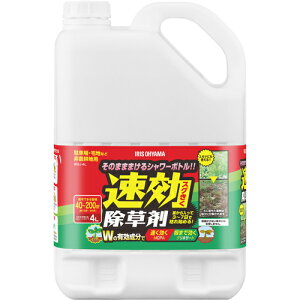 IRIS 110884 ���������� 4L WSJ-4L