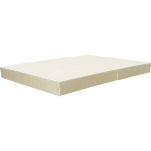 TRUSCO XNGApbg pLbv P-CAP
