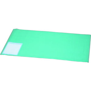 IRIS 259084 �f�X�N�}�b�g(�S�ʓ�����H) 1190*690 �� DMT-1169PZ